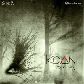 Download track Amaranthus (Serenity Mix) Koan