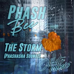 Download track The Storm (Phashasha Soundz) PHASH BEE