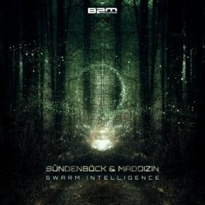 Download track Reborn Power Maddizin, Sündenböck