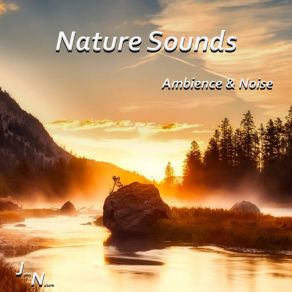 Download track Birds And White Noise Wind In The Forest John Nature