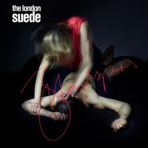 Download track What Are You Not Telling Me? Suede