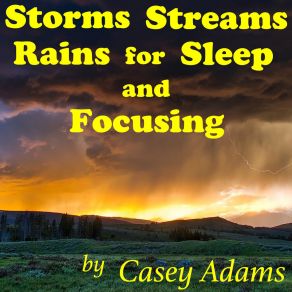 Download track Water Springs In Paradise Casey Adams