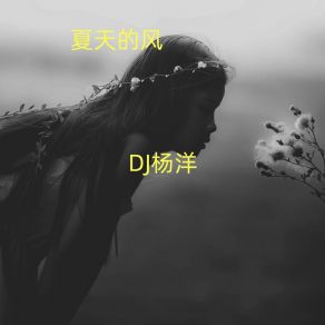 Download track 夏天的风 (伴奏) DJ杨洋