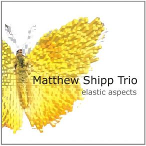 Download track Raw Materials Matthew Shipp Trio