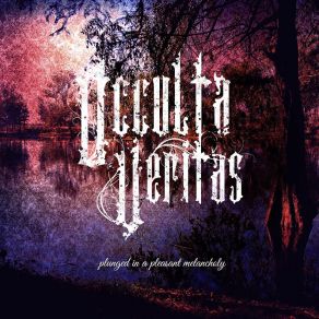 Download track Little Pieces Of Heaven Occulta Veritas