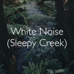 Download track Mountain Creek White Noise Collective