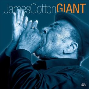 Download track Find Yourself Another Fool James Cotton