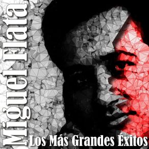 Download track Adios Granada Miguel Flata