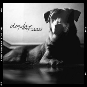 Download track Safe (Acoustic Version) David Ullman