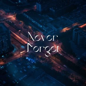 Download track Never Forget (Acoustic Verison) Flou. Rish