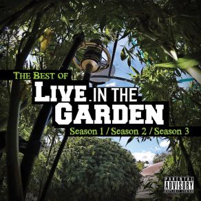 Download track Life Of A Plant Mendo DopeMr. Blap