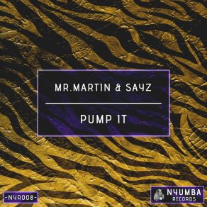 Download track Pump It (Radio Edit) Sayz