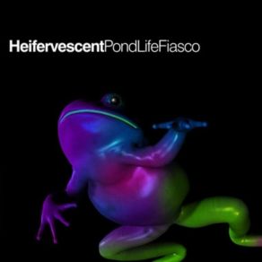 Download track Kaleidoscope Heifervescent