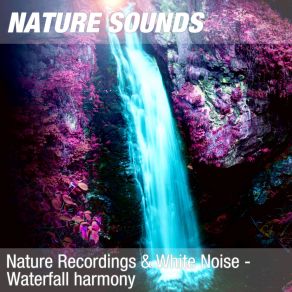 Download track Nature Sounds For Relaxation, Spa & Massage (Soothing Waterfall Noise) 14 Nature Sounds