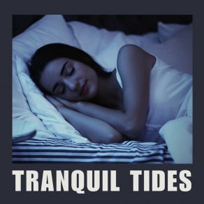 Download track Tranquil Night Sleep Music Dream