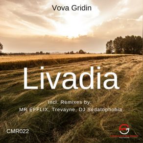 Download track Livadia (Original Mix) Vova Gridin