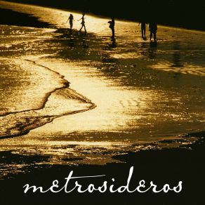 Download track You Don't Need To Carry That Load Metrosideros