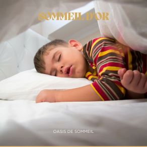 Download track Berceuses Pour Adultes Oasis De Sommeil