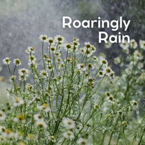 Download track Gentle And Soothing Rain, Pt. 10 Raindrops Sleep