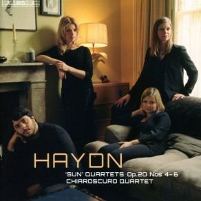 Download track 3. String Quartet In D Major Op. 20 No. 4 - III. Menuet Alla Zingarese Joseph Haydn