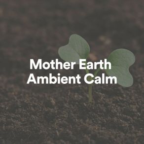 Download track Mother Earth Ambient Calm, Pt. 9 Mother Earth Sounds