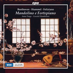 Download track Mandolin Sonatina In C Minor, WoO 43a Gerald Hambitzer, Anna Torge