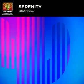 Download track Serenity (Club Mix) Brankko