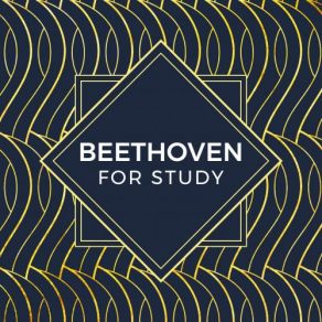 Download track Beethoven- Concerto For Piano, Violin, And Cello In C, Op. 56 - 2. Largo - Attacca Ludwig Van BeethovenHerbert Von Karajan, Yo - Yo Ma, Berliner Philharmoniker, Mark Zeltser
