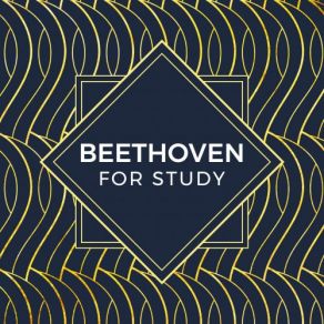 Download track Beethoven- 11 Bagatelles, Op. 119 - 8. Moderato Cantabile Ludwig Van Beethoven