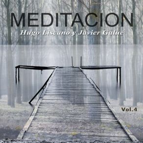 Download track Meditación (Instrumental Version 1) Hugo Liscano