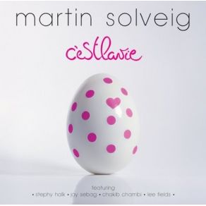 Download track Bottom Line Martin Solveig