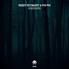 Download track Haarp Roddy Reynaert, Phi Phi