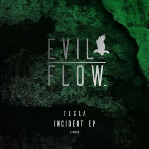 Download track Incident Tesla