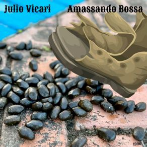 Download track O Boto Cor De Rosa Julio Vicari