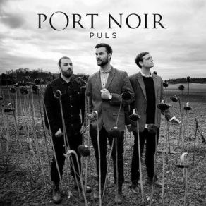 Download track Index Port Noir