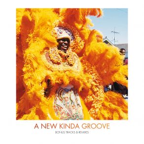 Download track New Kinda Groove (Remix) The Wild MagnoliasRemix