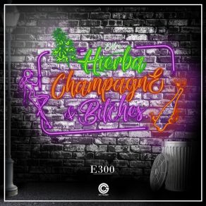 Download track El Del Arenal E300