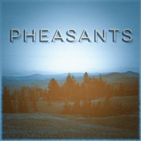 Download track Field Day Soiree' The Pheasants