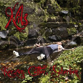 Download track Gefangen Nils Davis