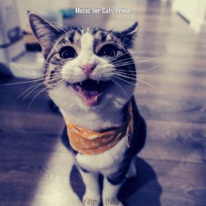 Download track Serene (Cats) Music For Cats PrimeThe Cats