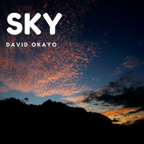 Download track The Guitar David Okayo