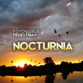 Download track Nocturnia Psychadelik Pedestrian