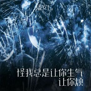 Download track 怪我总是让你生气让你烦 潘安仁