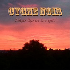 Download track Barcelona Cygne Noir