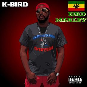 Download track Mary Jane Plane K-Bird