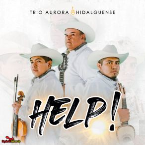 Download track La Bruja De La Huasteca Trio Aurora Hidalguense