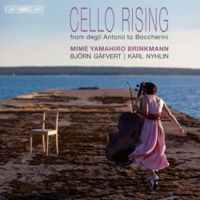 Download track Cello Sonata In A Major, G. 4: III. Affettuoso Mime Yamahiro Brinkmann, Bjorn Gafvert, Karl Nyhlin