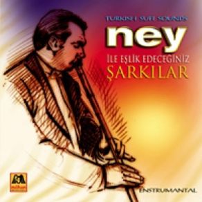 Download track Anladım Sevmeyeceksin Engin Kızılay