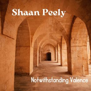 Download track Abut Cryptology Shaan Peely