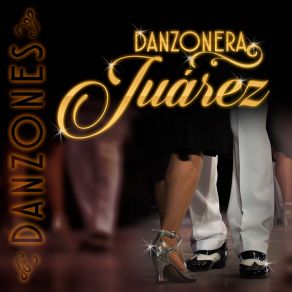 Download track Romelia Danzones